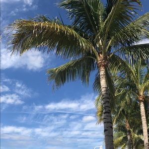 Meet your Posher, Sophia