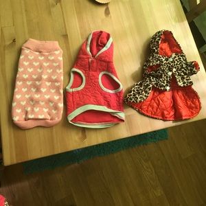 Bundle of puppy/kitten clothes