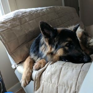 Meet your Posher, April