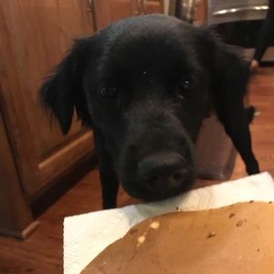 Meet your Posher, Zoe