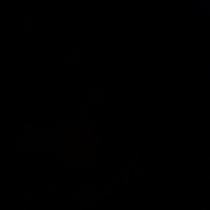 Meet your Posher, Rhonda