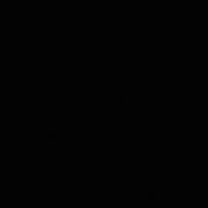 Meet your Posher, Brittney