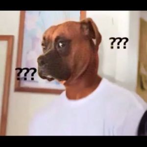 Meet your Posher, Justin