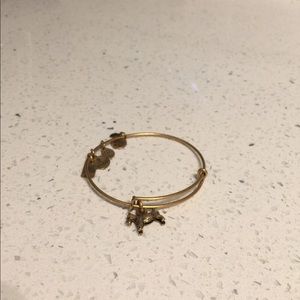 Alex and Ani bracelet Rafelian gold
