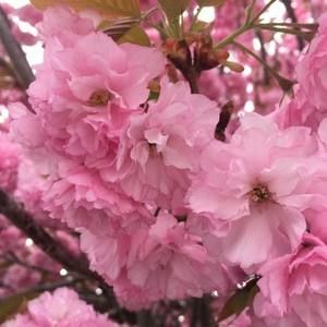 Meet your Posher, Jodi