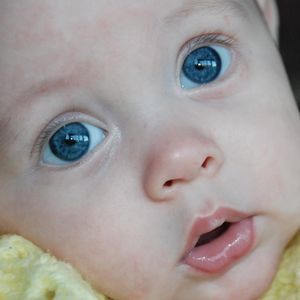 Meet your Posher, Roberta