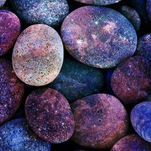 Meet your Posher, Kylie