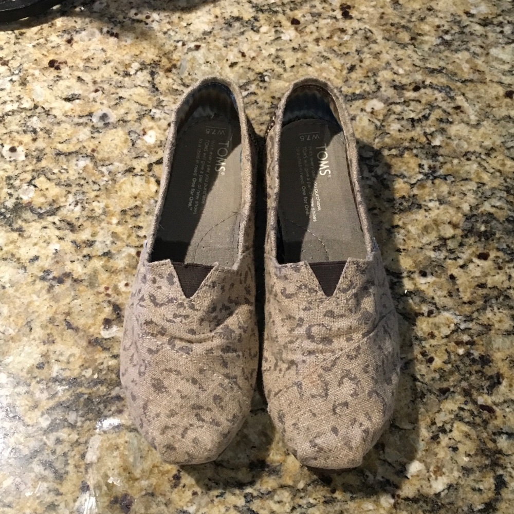 Toms cheetah