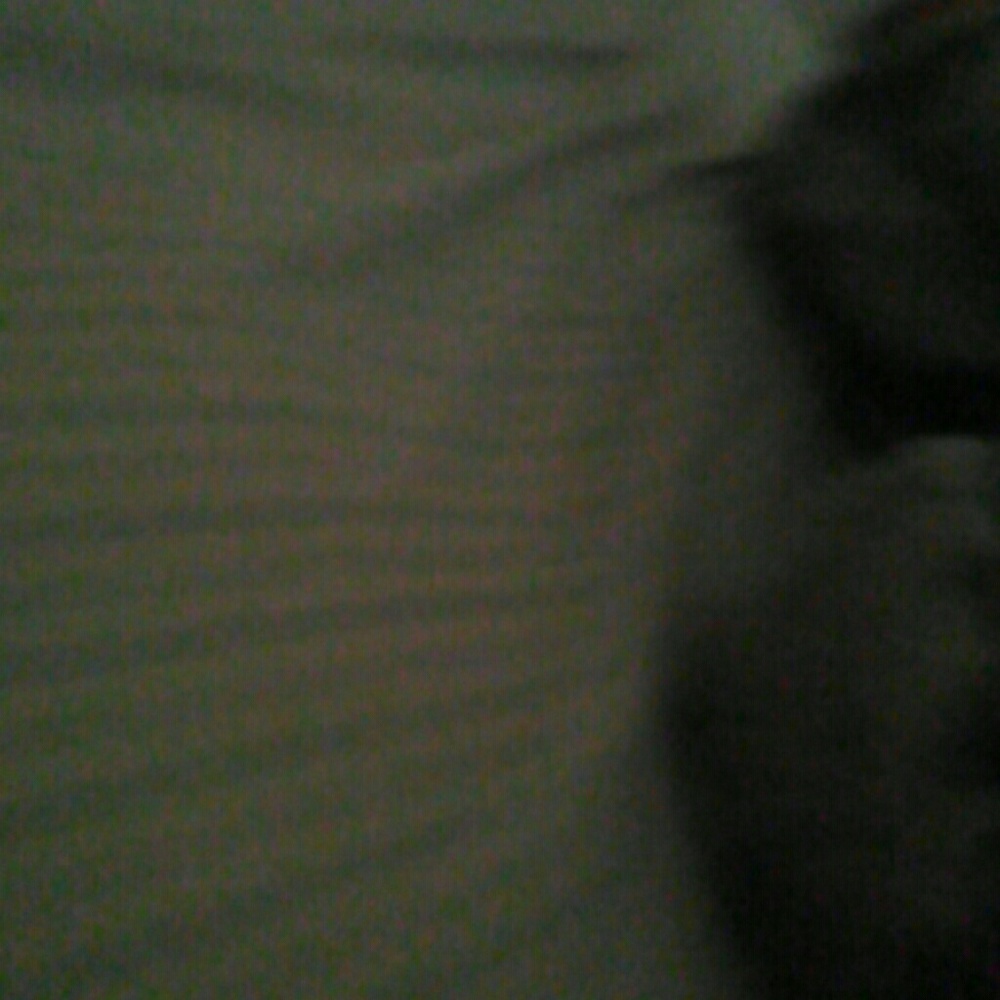 Meet your Posher, Cheens