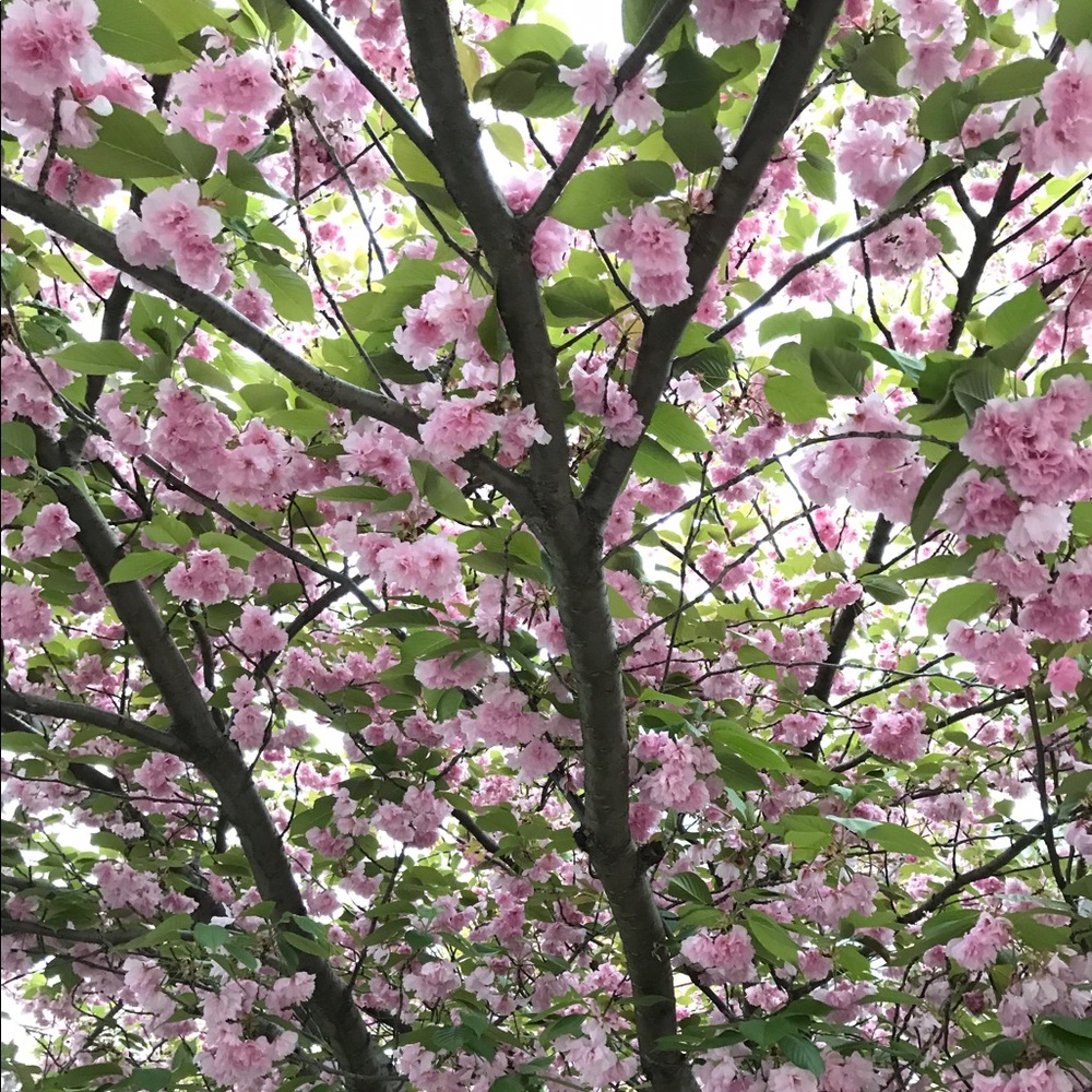 Meet your Posher, Izabella