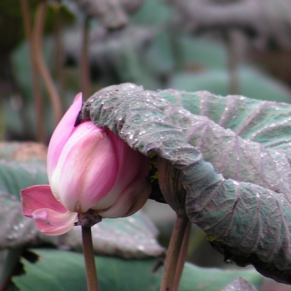 Meet your Posher, Tuesdayoctober