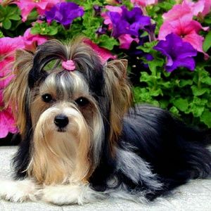 Meet your Posher, Kay