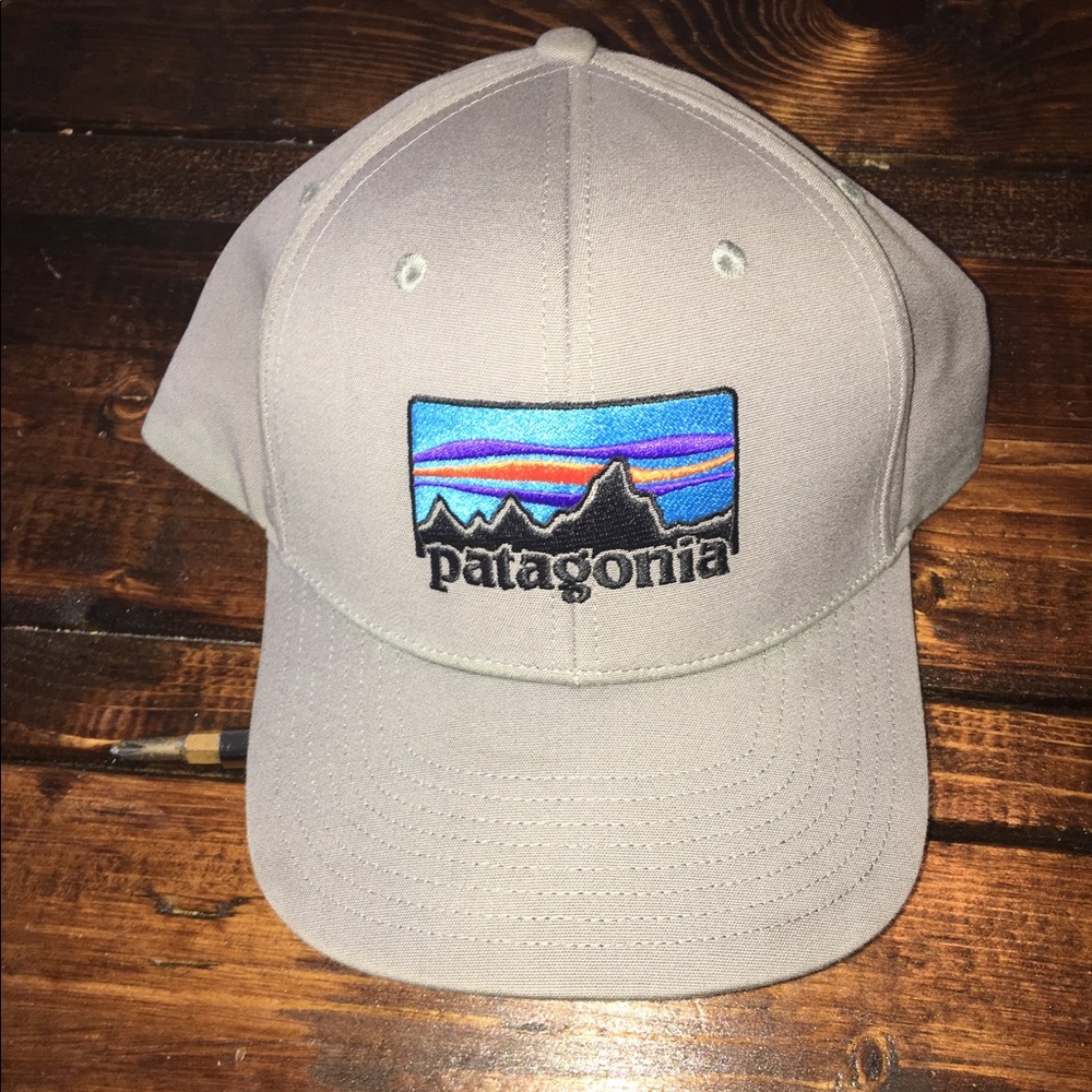 Patagonia Roger That retro logo hat