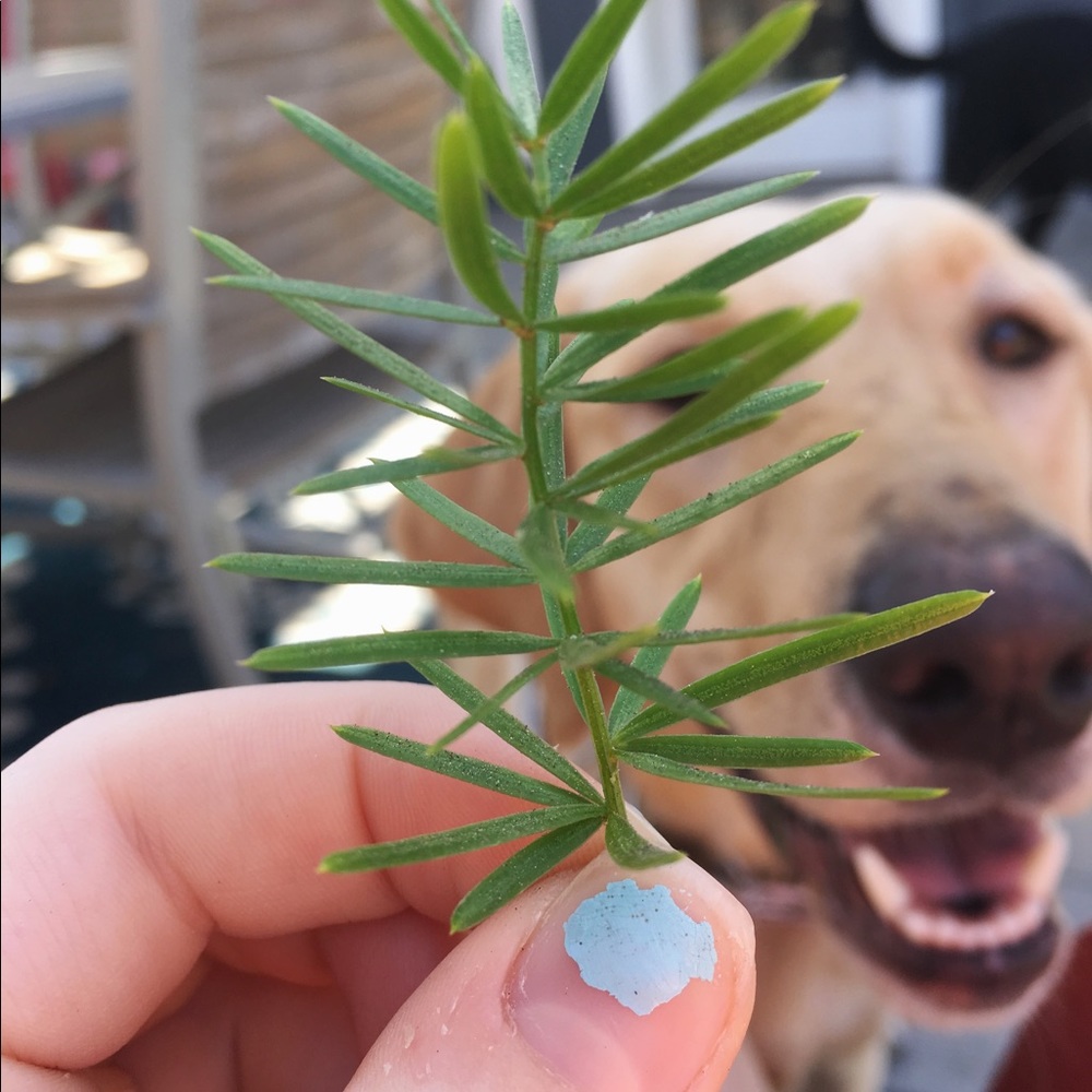 Meet your Posher, Kate
