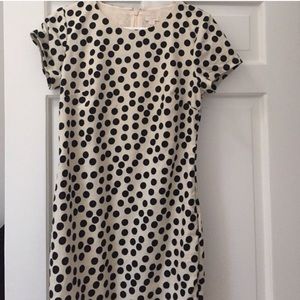J. Crew Dot Dress