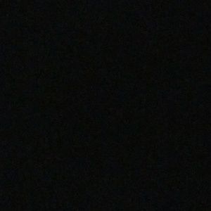 Meet your Posher, Rose