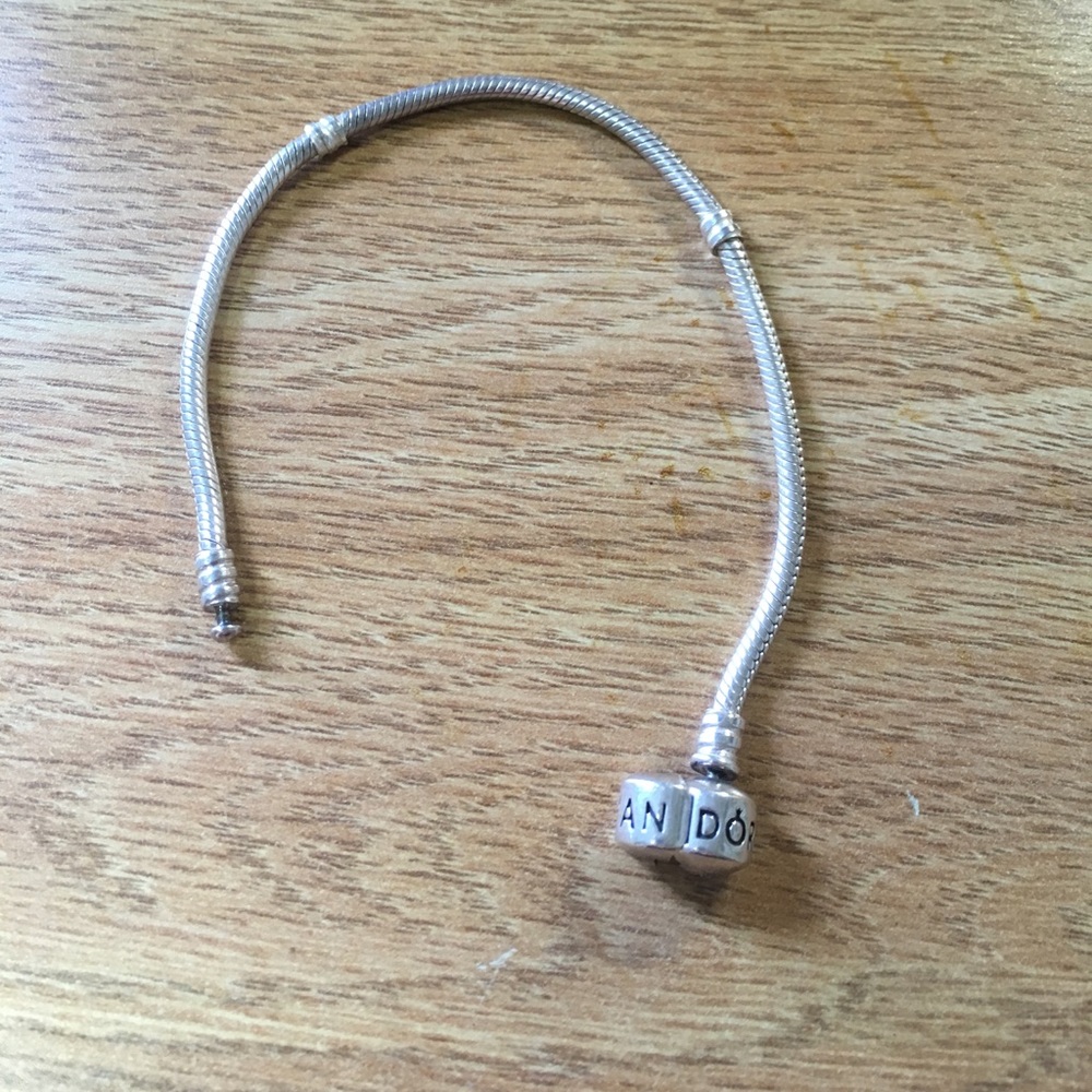 Pandora charm bracelet