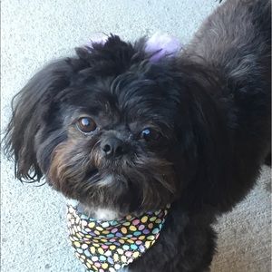 Meet your Posher, Sonya