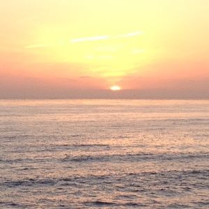 Meet your Posher, Ben