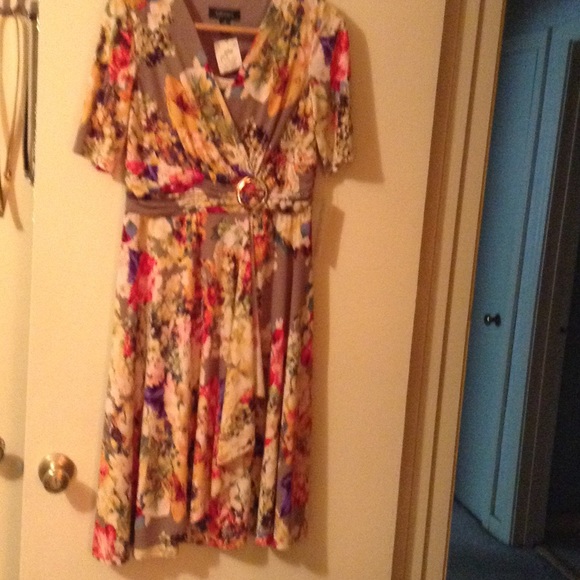 Beautiful Dress NWT - Picture 1 of 4