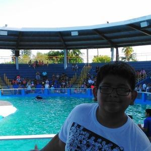 Meet your Posher, Evelyn