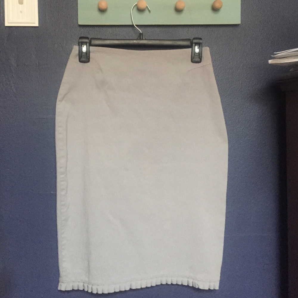 Express Pencil Skirt