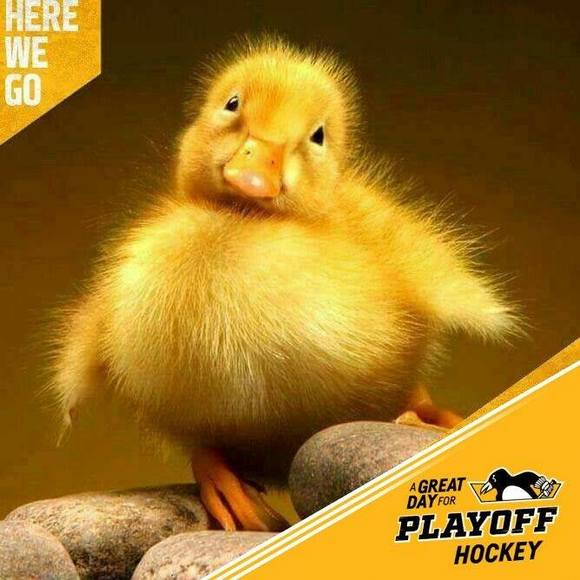 Meet your Posher, Heather - Picture 1 of 1