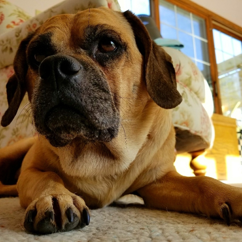 Meet your Posher, Lorrie