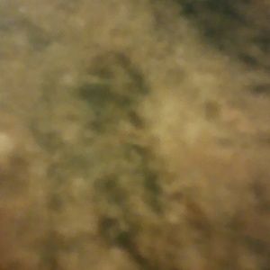 Meet your Posher, Antonio