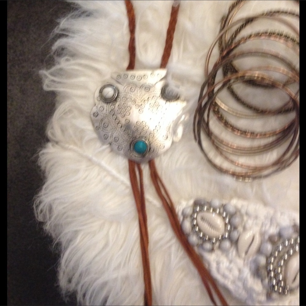 FP Bolo