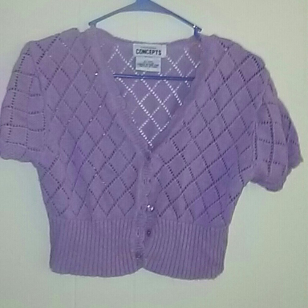 Purple crop top sweater
