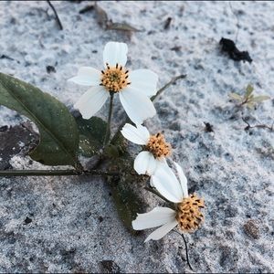 Meet your Posher, Aiden