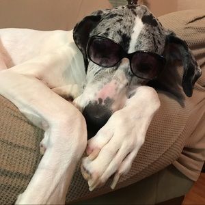 Meet your Posher, Christina