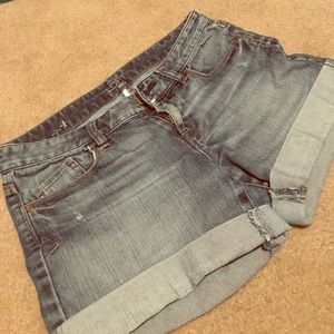 Ann Taylor LOFT Denim Shorts