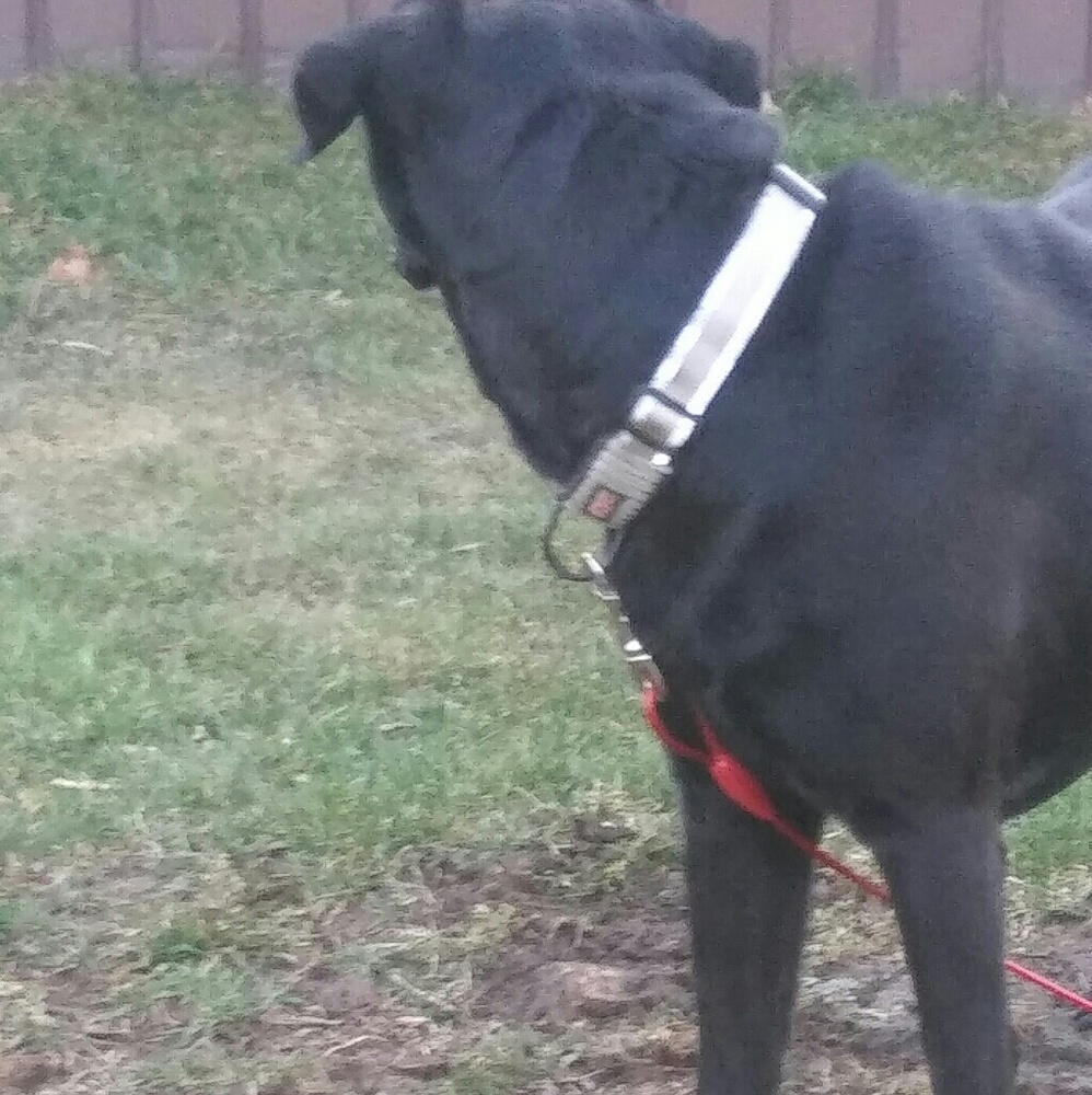 Meet your Posher, Daniel