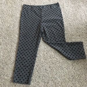 Ann Taylor polka dot pants!!