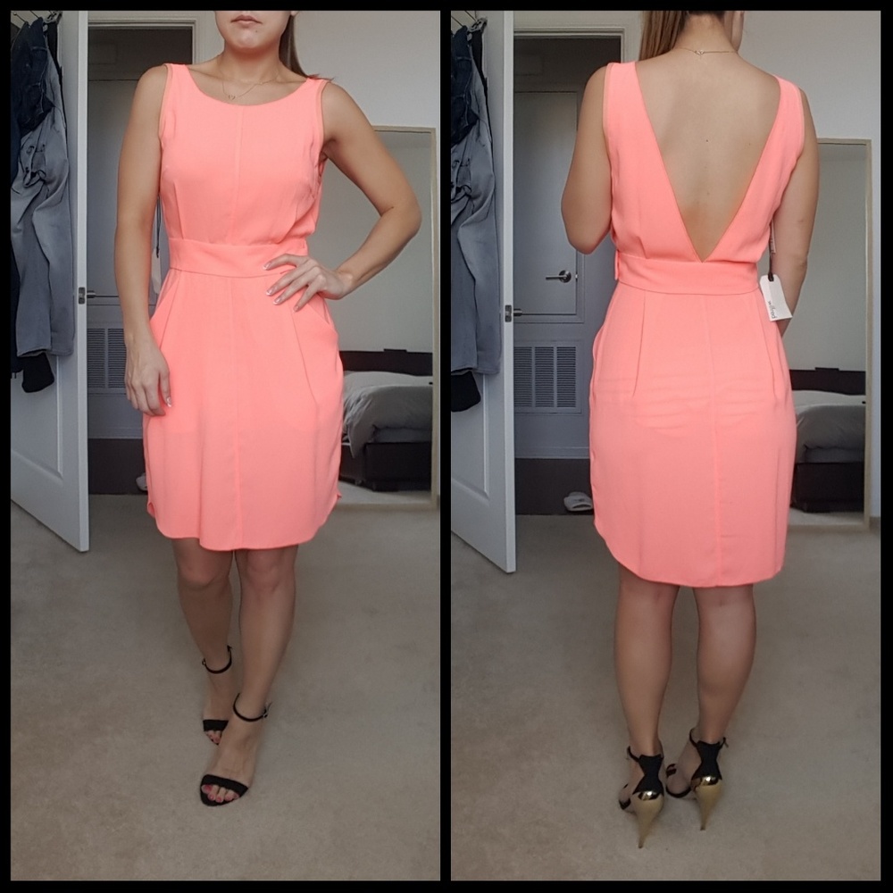 Aritzia Wilfred Lelia Dress