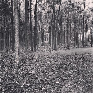 Meet your Posher, Jj