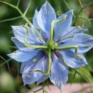 Meet your Posher, Tat