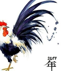 Meet your Posher, Lloyd