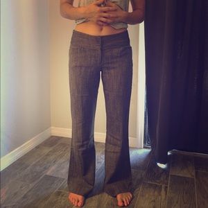 Express Editor Pants