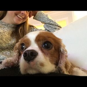 Meet your Posher, Amy