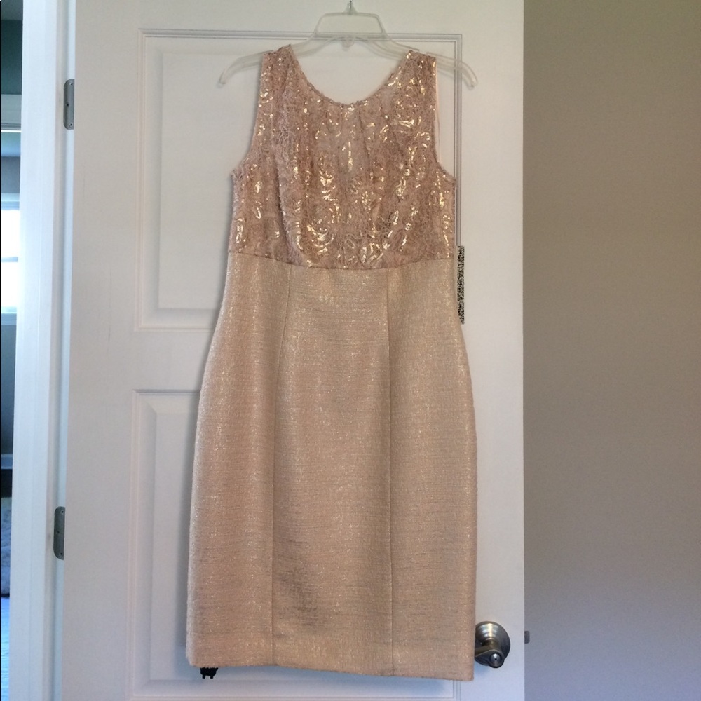 NWT Beautiful shimmery blush dress