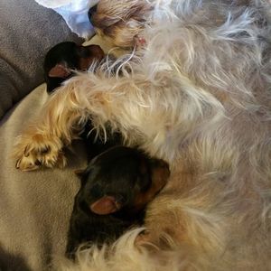 Meet your Posher, April