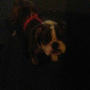 Meet your Posher, Marta