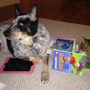 Meet your Posher, Alissa