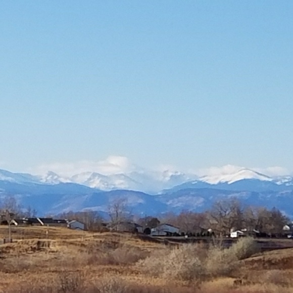 Meet your Posher, Robin - Picture 2 of 3