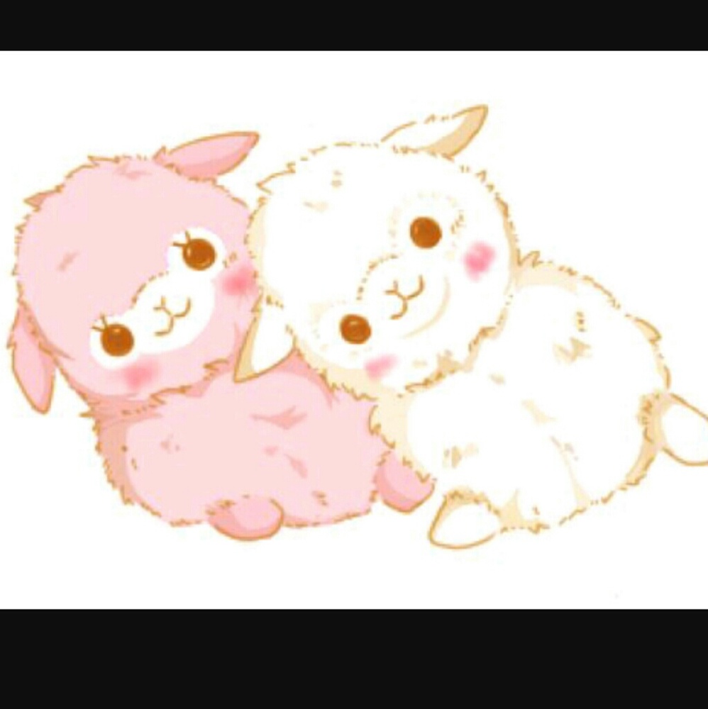 Meet your Posher, Kristie