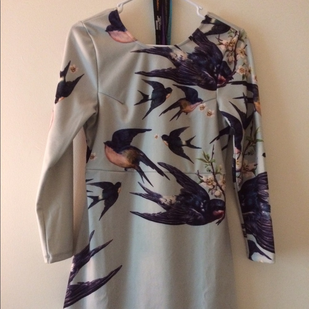 Ziztar Zwallow Fleece Dress