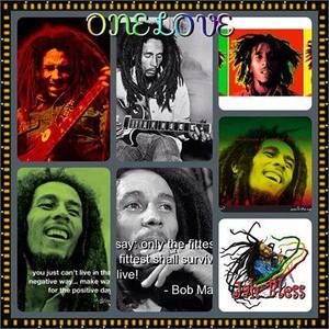 Meet your Posher, Lynette